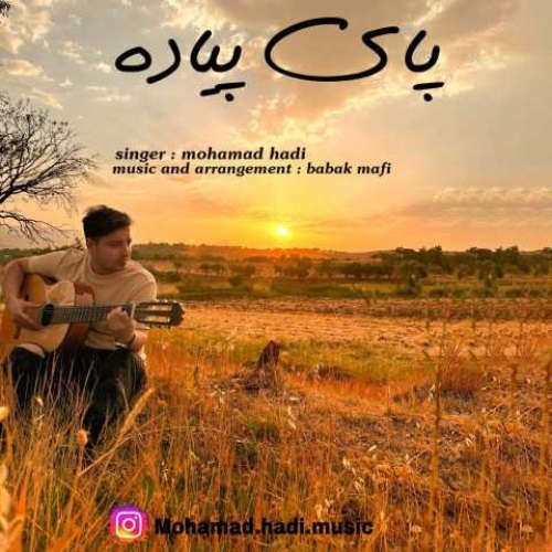 محمد هادی پای پیاده
